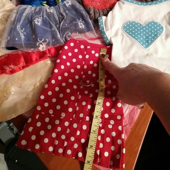 🐶Puppy dog clothes bundle🐶 - Picture 3 of 3