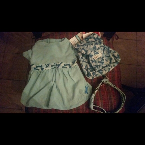 Dog collar  and dress medium