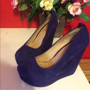 Aldo blue wedges