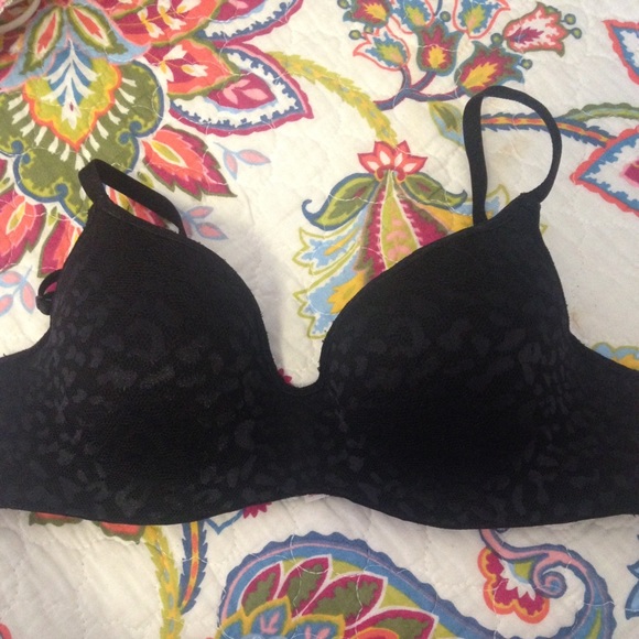 IZOD slightly padded bra
