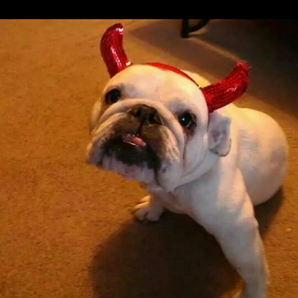 Photo - Picture 3 of 3