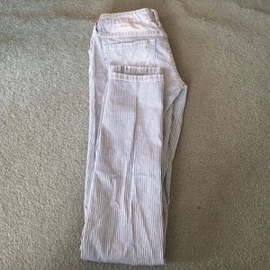 Bundle for kybotticus