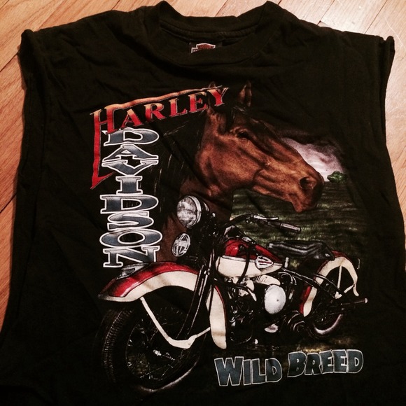 "Wild Breed" Harley Davidson cut off tank 1994