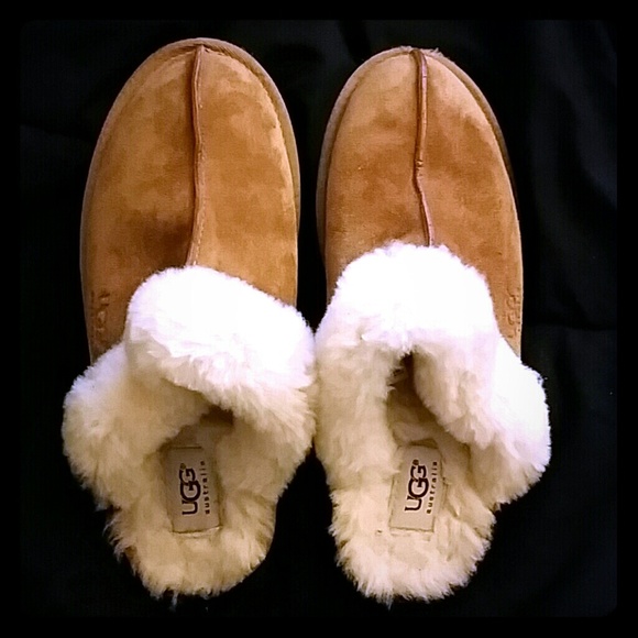 Chesnut UGG slippers