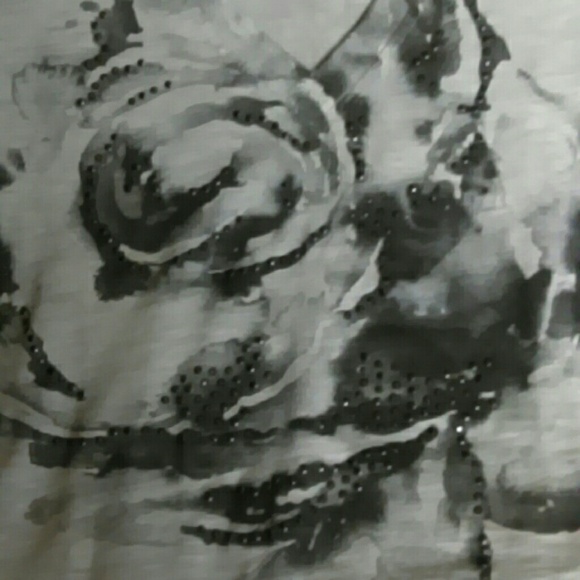 Express Top - Picture 2 of 3