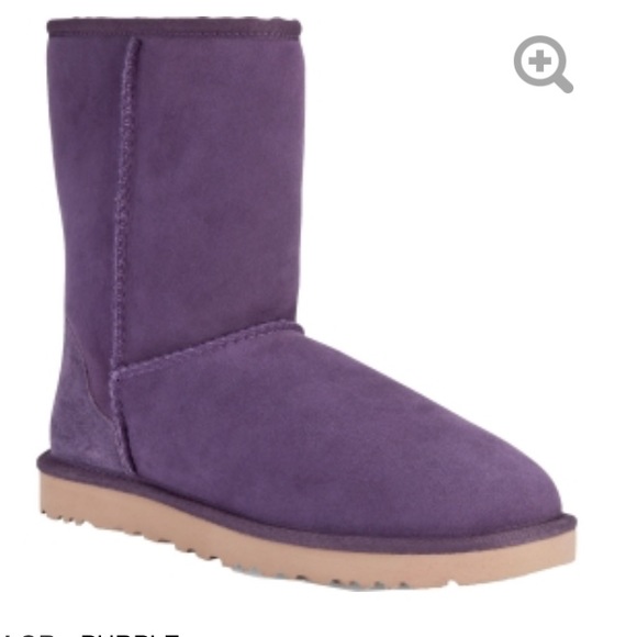 UGG Shoes - Womens Classic Ugg in purple