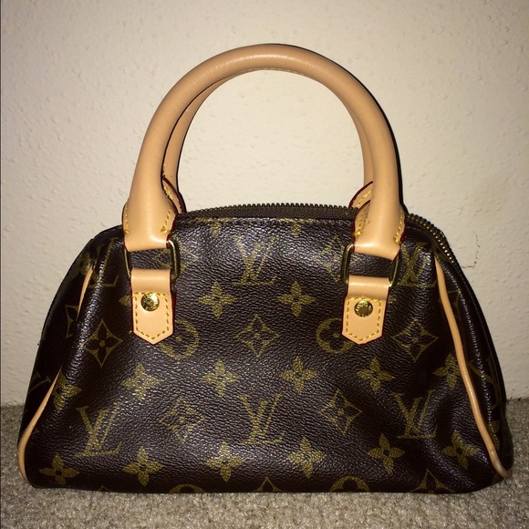 Louis Vuitton INSPIRED bag