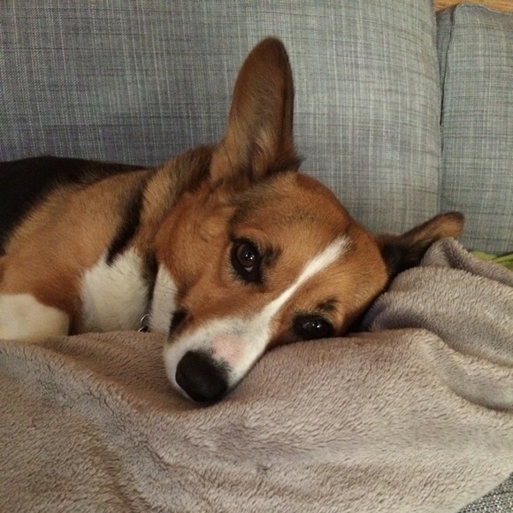 Meet the Posher! - Picture 2 of 3