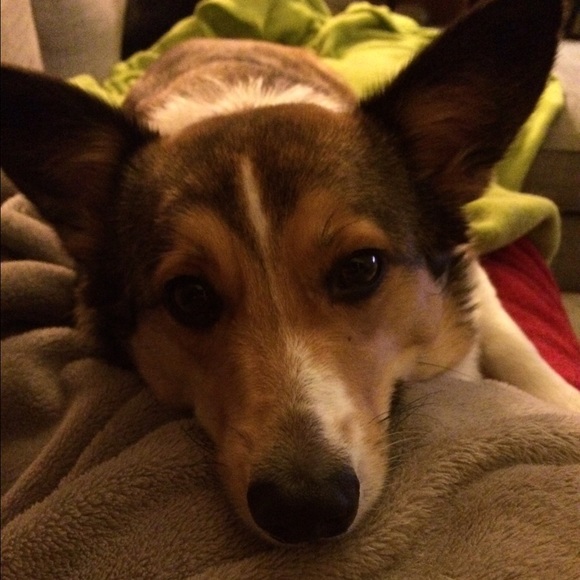 Meet the Posher! - Picture 3 of 3