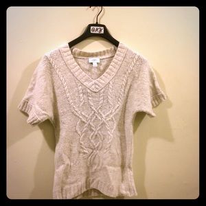 Ann Taylor Loft sweater