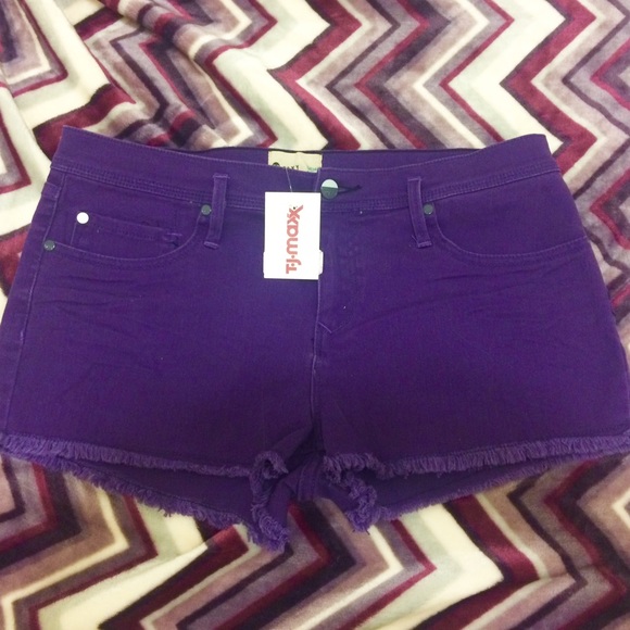 Roxy Denim NWT Purple Denim Shorts