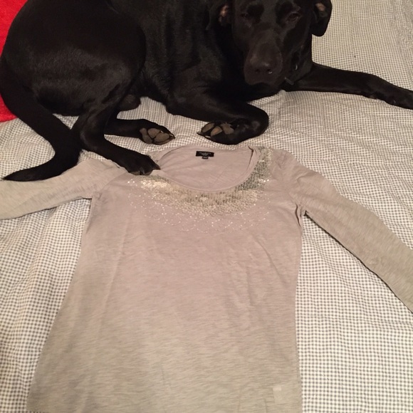 Grey Sequin Talbot's Top