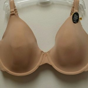 AFTER EDEN EXTRA COMFORT BRA 34DD