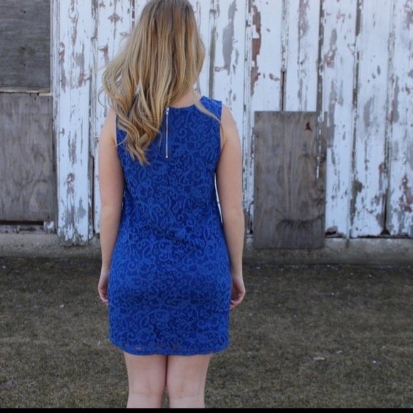 Blue Lace Dress - Picture 4 of 4