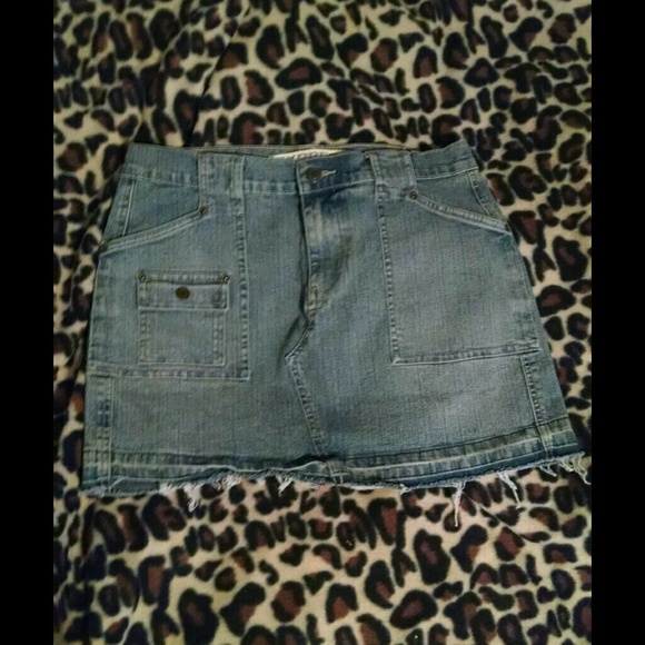 Express Skirt