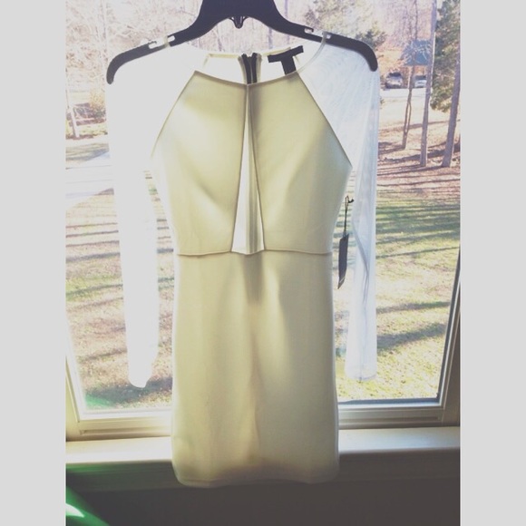NWT - forever 21 // mesh + cream party dress.