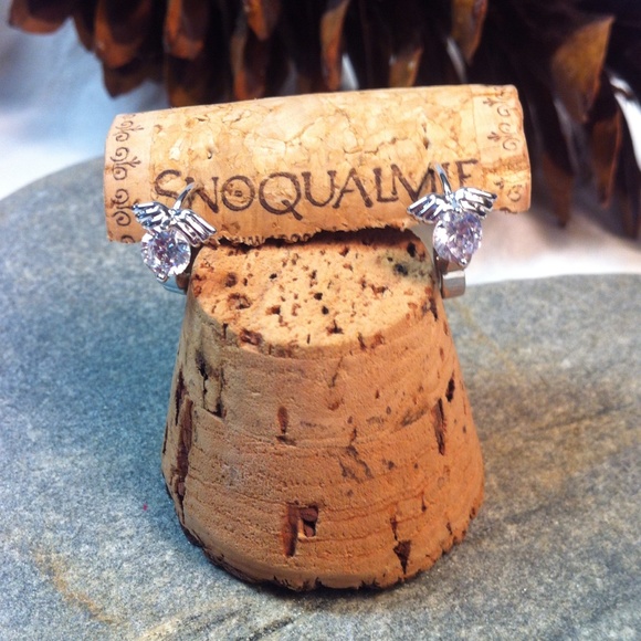 🎉Posh 925 Silver Earrings🎉