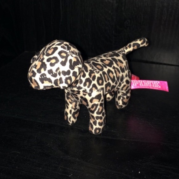 VS cheetah dog