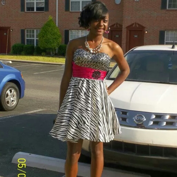 Zebra n pink print dress