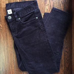 JCrew Dark Purple Toothpick Cords