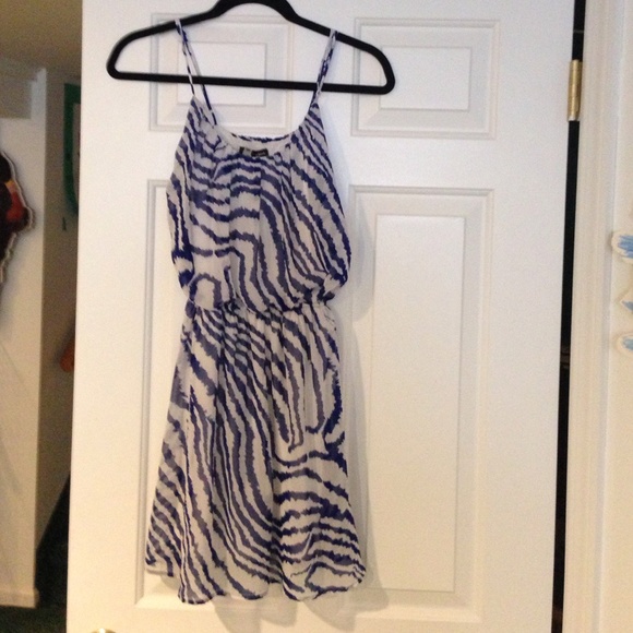 Blue and white zebra print dress