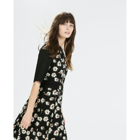 | Zara | Printed Pleated Dress - Picture 2 of 4