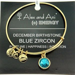 Alex and Ani December bracelet