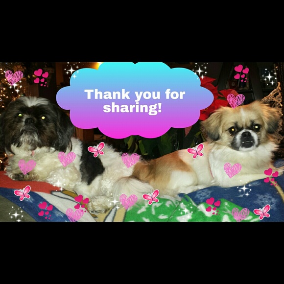 Thank You Ladies!