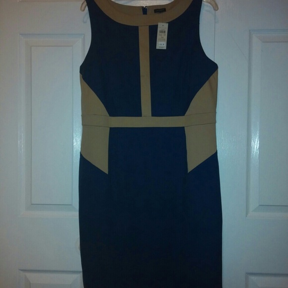 New Anne Taylor dress