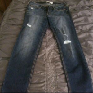 Hollister Jean's