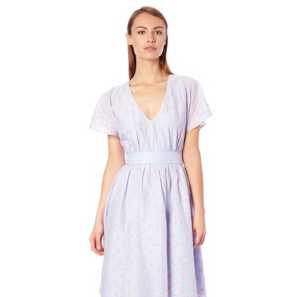 Berry Voile Fan Dress