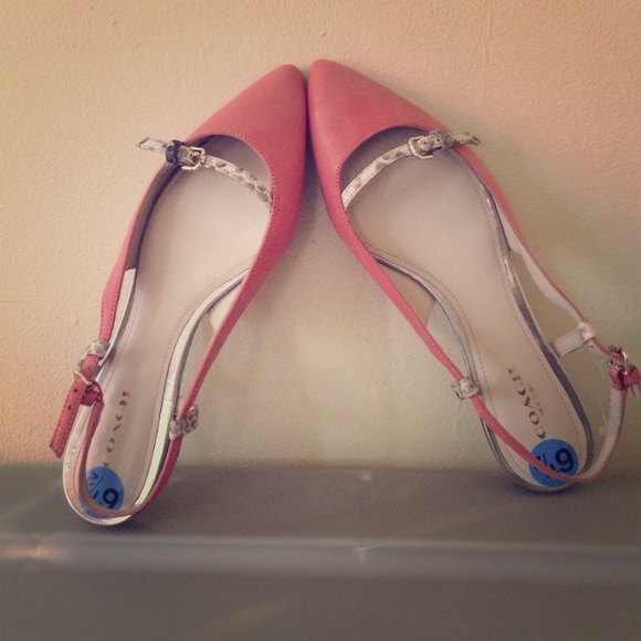 Classic Coach - Picture 1 of 2