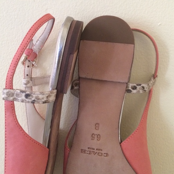 Classic Coach - Picture 2 of 2