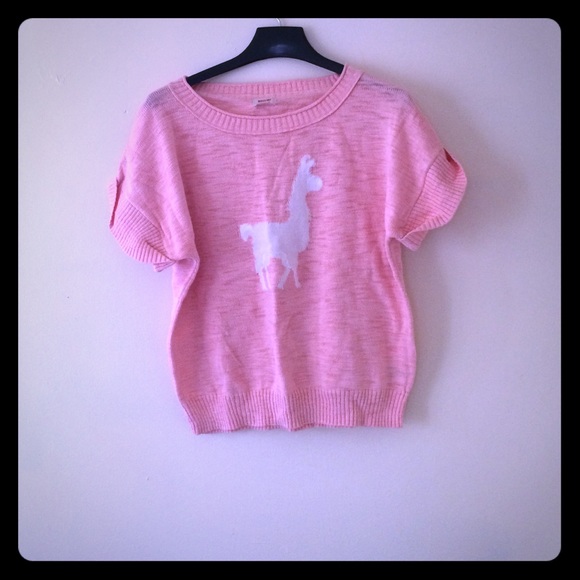 Short sleeved sweater. - Picture 1 of 1