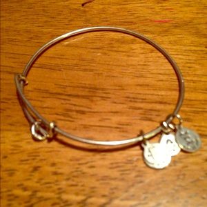 Alex and ani silver bracelet missing charm