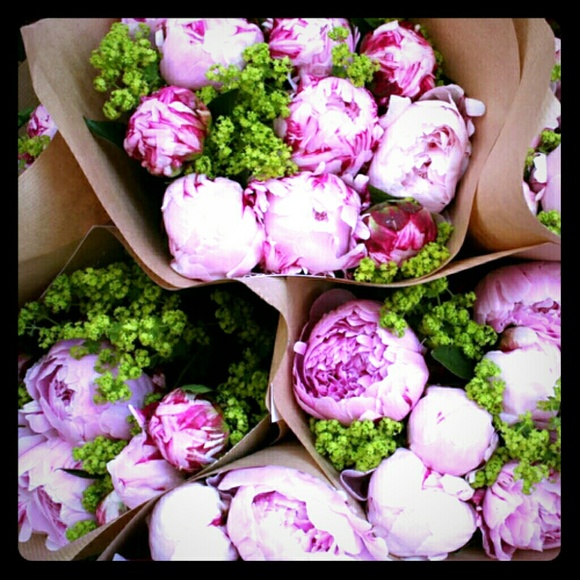 Please read b4 purchasing