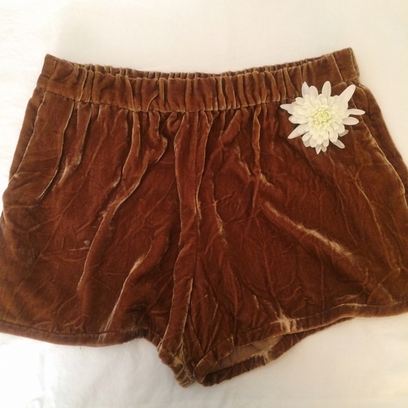 Urban Outfitters Velvet Shorts