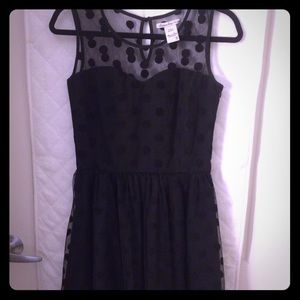 American rag cie polka dot dress