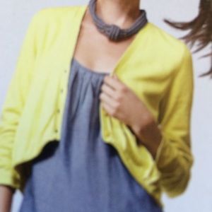 CAbi prepster cardigan