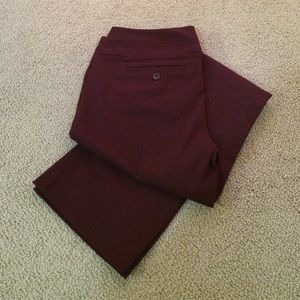 The Limited Exact Stretch Pants Size 8