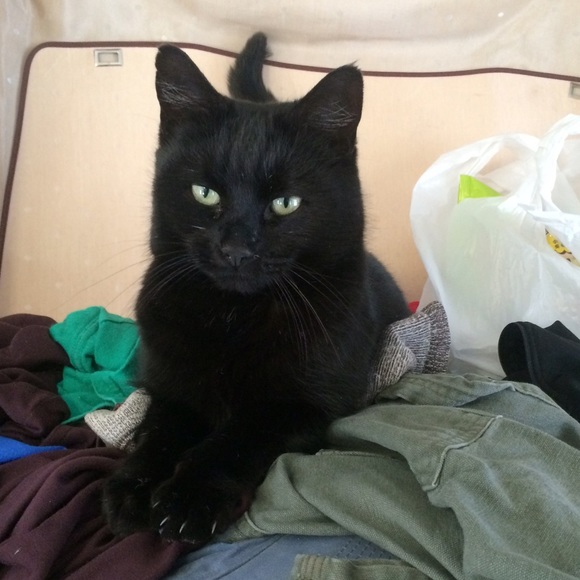 Meet your Seller 😻 - Picture 3 of 3