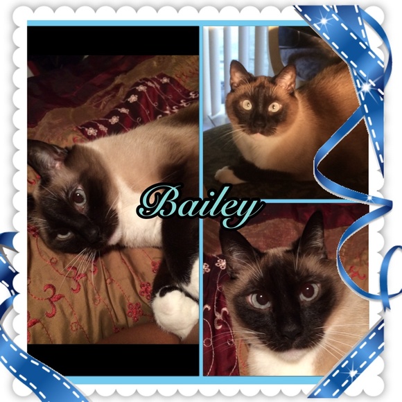 🌺Welcome🌺 - Picture 3 of 4