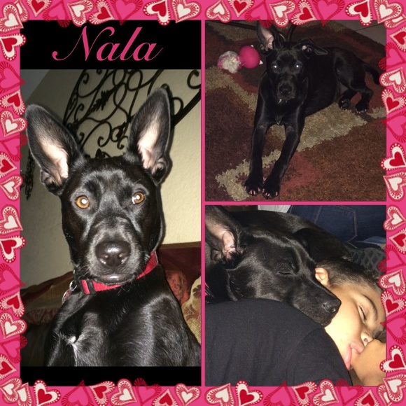 🌺Welcome🌺 - Picture 4 of 4