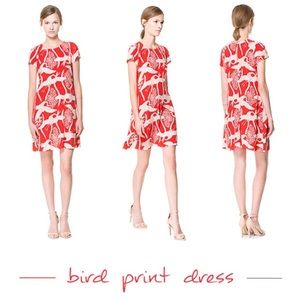 Zara Bird Print Dress