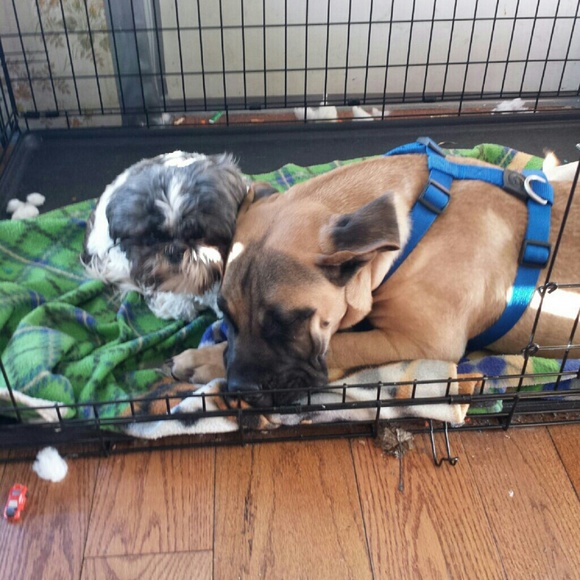 ABOUT ME - Picture 4 of 4