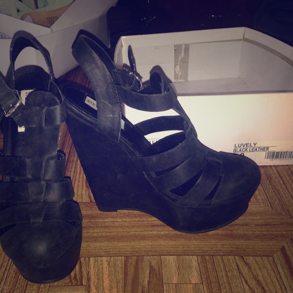 Steve Maddens Luvely