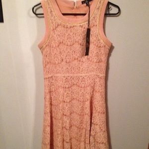 Pink Vintage-Style Lace Fit & Flare Dress NWT Sm.