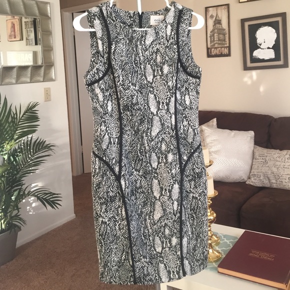 Beautiful ECI New York dress. Never worn