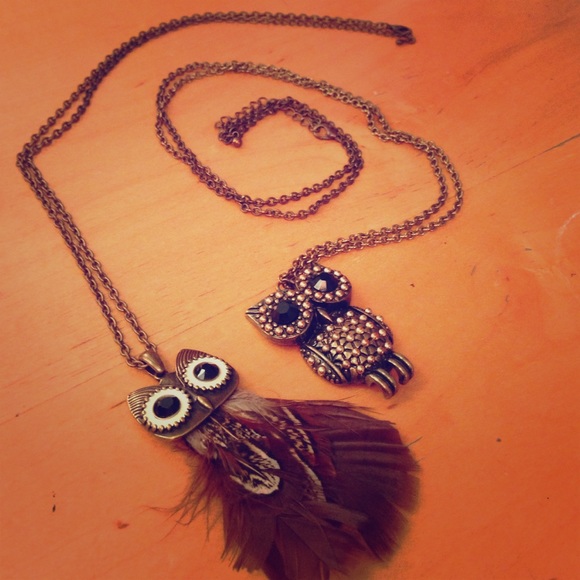 2 Owl Necklaces and owl ring