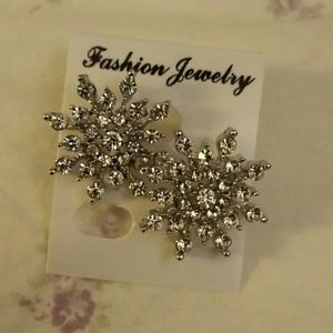 Earrings big snowflakes